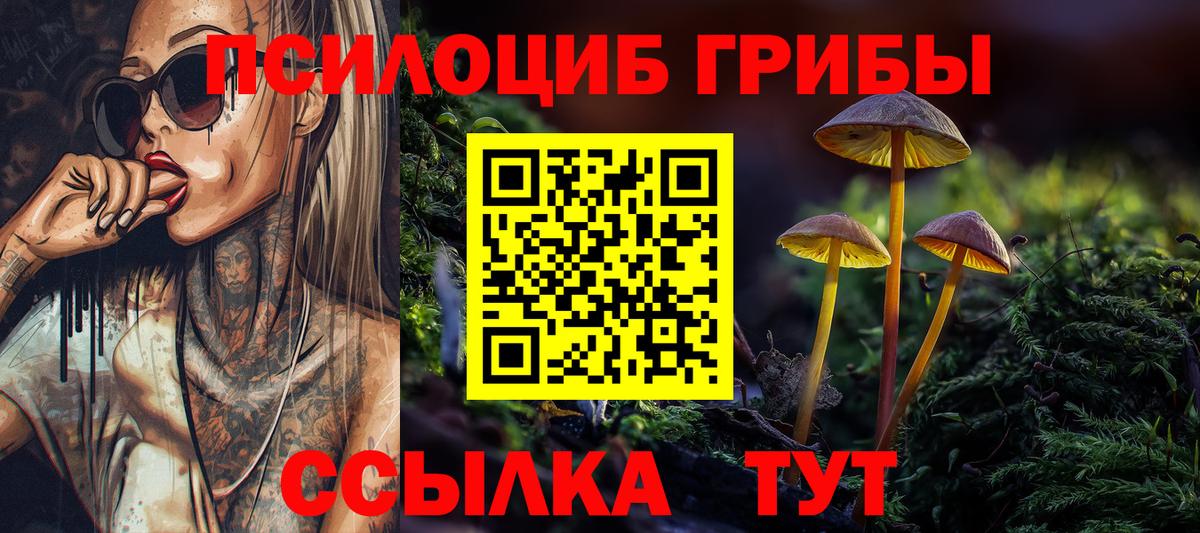 Галлюциногенные грибы Psilocybe Норильск