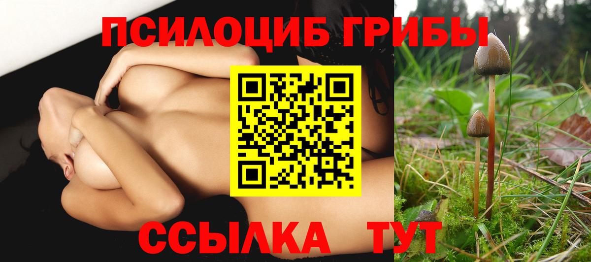 Норильск  Псилоцибиновые грибы GOLDEN TEACHER  Галлюциногенные грибы мухоморы  Вход с VPN 